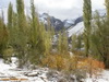 Morteza_Saberi_Aban93 (8)_resize.JPG 